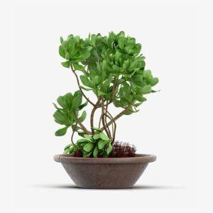 Nilson Basics Artificial Fake TreeNilson Basics Artificial Fake Tree